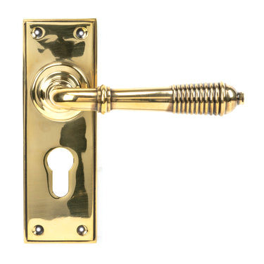 From The Anvil's Aged Brass Reeded Lever Euro Lock Door Handles; #finish_aged-brass
