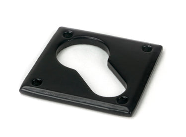From The Anvil's Black Diamond Euro Escutcheon; #finish_black