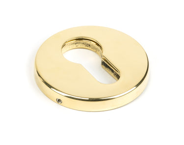 From The Anvil's Aged Brass 52mm Regency Concealed Escutcheon; #finish_aged-brass