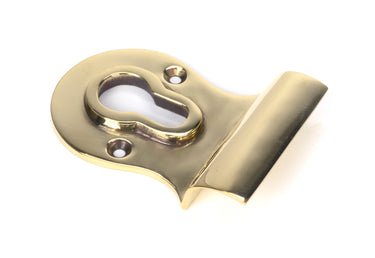 From The Anvil's Aged Brass Euro Door Pull; #finish_aged-brass