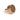 From The Anvil's Polished Bronze 25mm Judd Cabinet Knob; #finish_polished-bronze