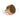 From The Anvil's Polished Bronze 32mm Judd Cabinet Knob; #finish_polished-bronze