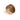 From The Anvil's Polished Bronze 38mm Judd Cabinet Knob; #finish_polished-bronze