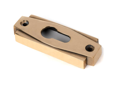 From The Anvil's Aged Brass Art Deco Euro Escutcheon Set; #finish_aged-brass