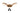 Polished Bronze Newbury Cleat Hook; #finish_polished-bronze