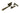 Burnished Brass Night-Vent Locking Newbury Fastener; #finish_burnished-brass