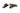 Burnished Brass Brompton Brighton Fastener - Narrow (Square); #finish_burnished-brass