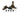 Burnished Brass Brompton Brighton Fastener - Narrow (Square); #finish_burnished-brass
