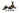 Burnished Brass Prestbury Brighton Fastener - Narrow (Square); #finish_burnished-brass