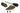 Burnished Brass Key-Flush Sash Stop; #finish_burnished-brass