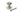 Polished Nickel Round Centre Door Knob; #finish_polished-nickel