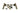 Burnished Brass Brompton Lever on Rose Set (Plain); #finish_burnished-brass