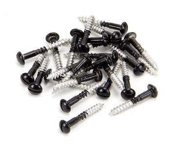 From The Anvil's Black Black SS  Roundhead Screws (25); #finish_black