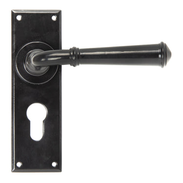 From The Anvil's Black Regency Lever Euro Lock Door Handles; #finish_black