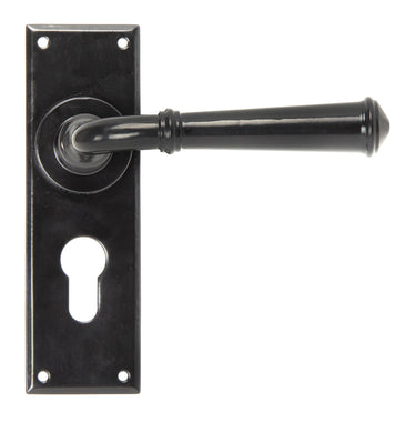 From The Anvil's Black Regency Lever Euro Lock Door Handles; #finish_black