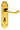 M Marcus - Carlisle Brass - Oakley Door Handles on Backplate - Bathroom - Pair; #finish_pvd