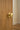 Frelan Hardware - Jedo Mushroom Door Knobs - 60mm - Pair; #finish_polished-brass