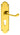 M Marcus - Carlisle Brass - Victorian Scroll Door Handles on Backplate - Shaped - Euro Lock - Pair; #finish_polished-brass