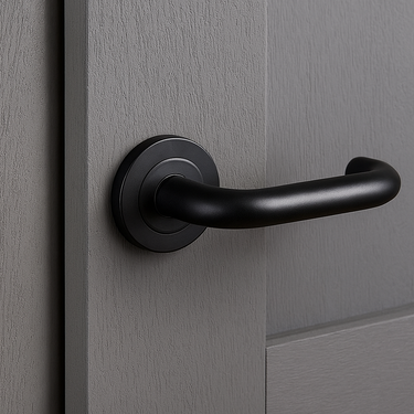 Frelan Hardware - Nero Orbit Door Handles on Rose - Pair - Handle Only; #finish_black